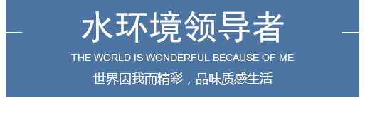 咏嘉联盛水环境领导者